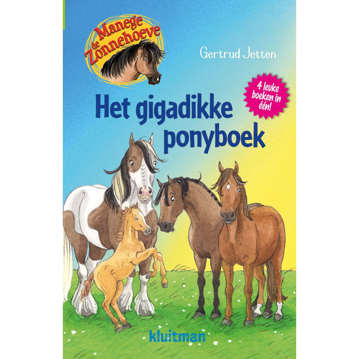 Kluitman Het gigadikke ponyboek