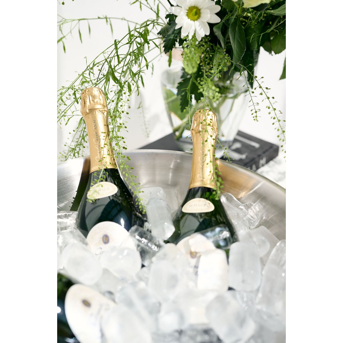 EDZARD champagneschaal Cara set van 2 Ø 40 cm