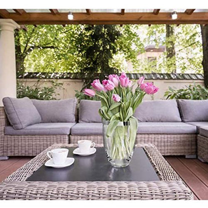 EDZARD Vaas Charlotte, mondgeblazen kristalglas met platina rand, hoogte 20 cm, diameter 15 cm