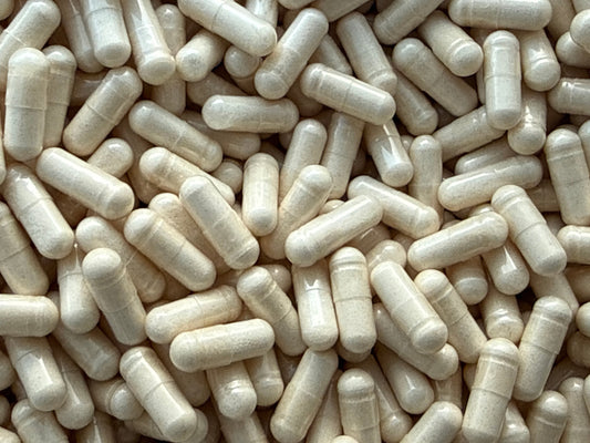 Ecdysterone 98% – Bulk Capsules – BulkLab Nutrition