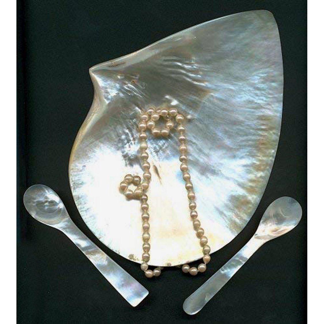 EDZARD set van 2 parelmoer lepels, kaviaar lepels, eier lepels, afgeronde hoeken, zee parelmoer, lengte 11 cm