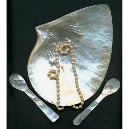 EDZARD set van 2 parelmoer lepels, kaviaar lepels, eier lepels, afgeronde hoeken, zee parelmoer, lengte 11 cm